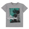 Boys Grey Mix T-Shirt With Shark Print