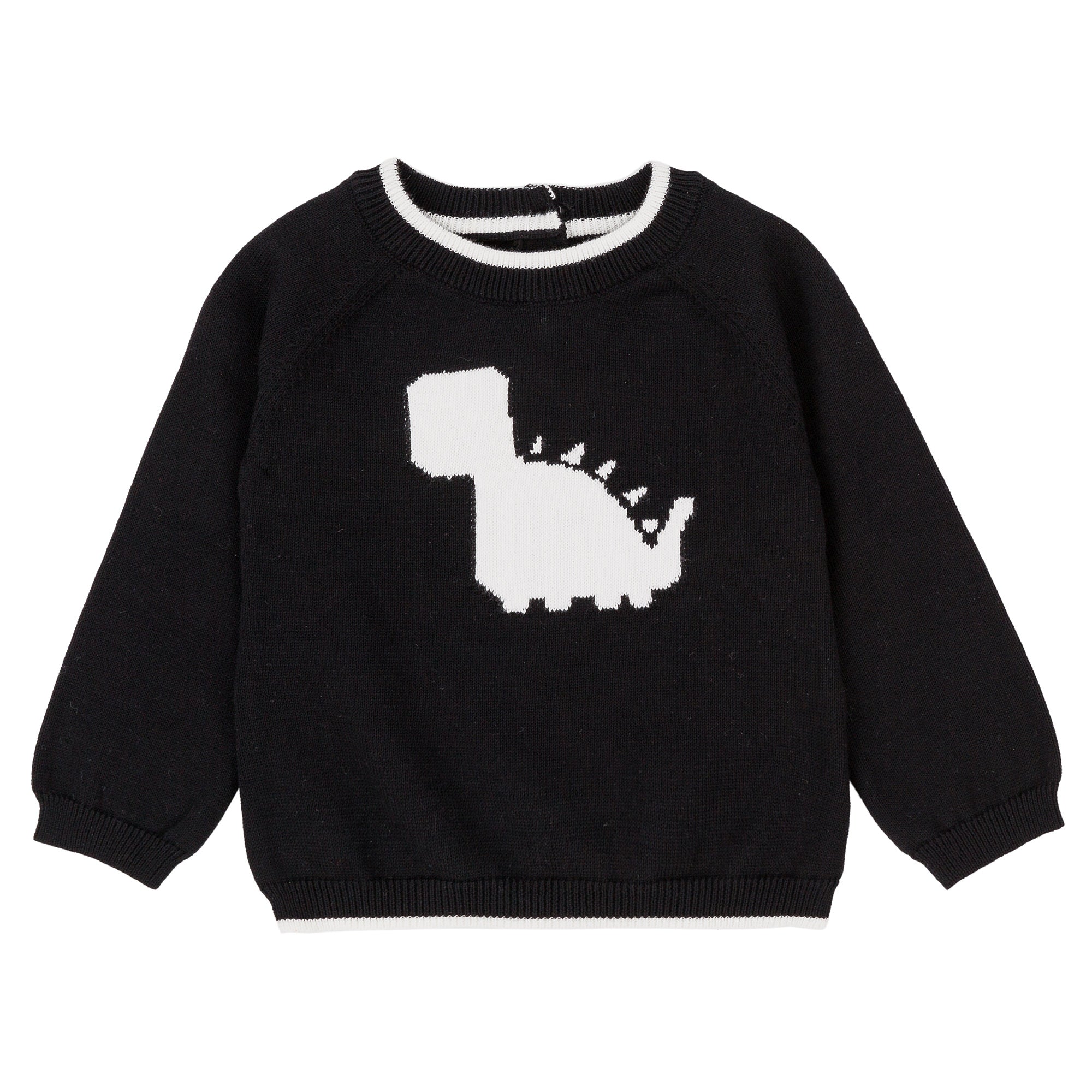Boys Black Dino Sweater